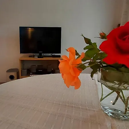 Visit Boracko Jezero Apartment Doelend *