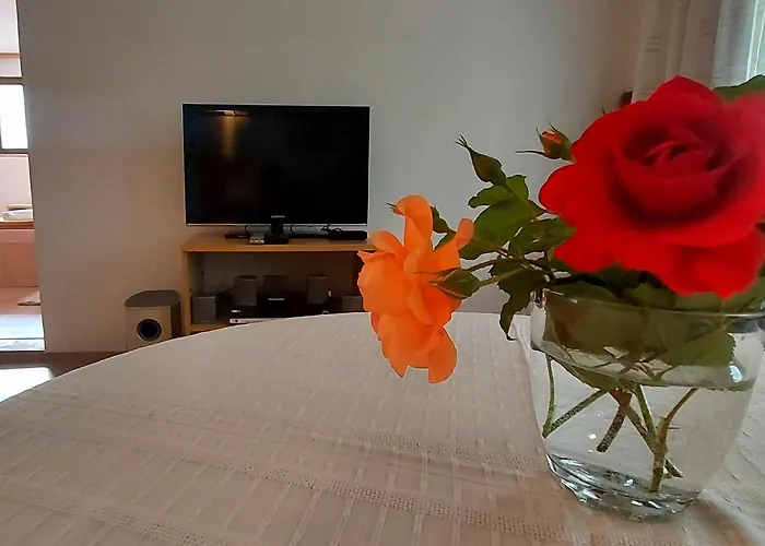 Visit Boracko Doelend *